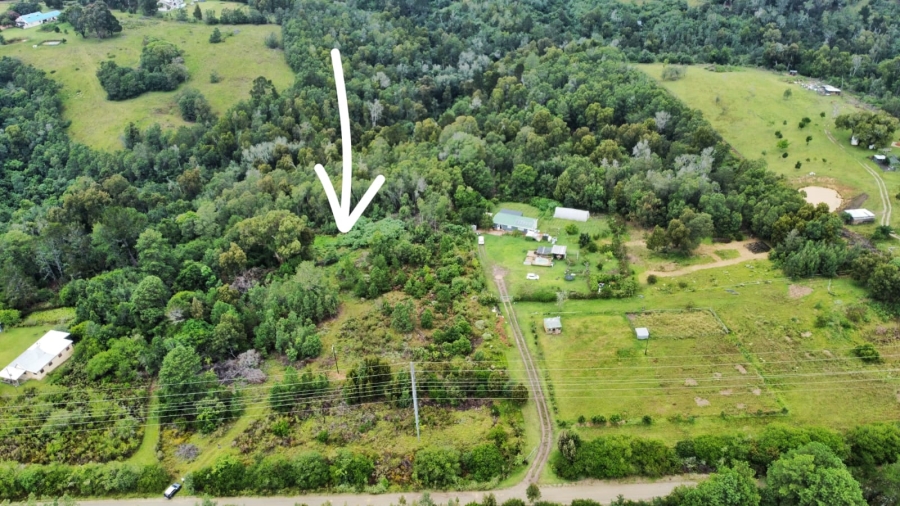 Commercial Property for Sale in Wilderness Heights Western Cape